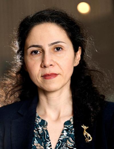 Bahareh Afshari